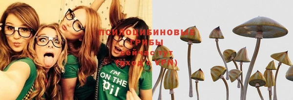 амф Горнозаводск