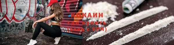индика Гусь-Хрустальный