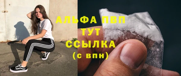 индика Гусь-Хрустальный