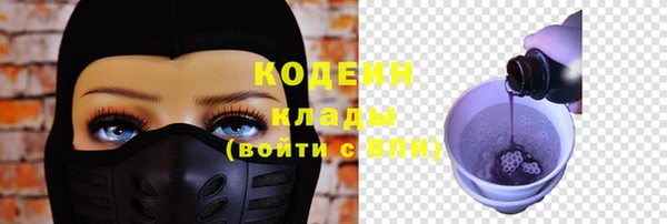 индика Гусь-Хрустальный
