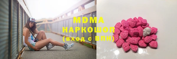 индика Гусь-Хрустальный