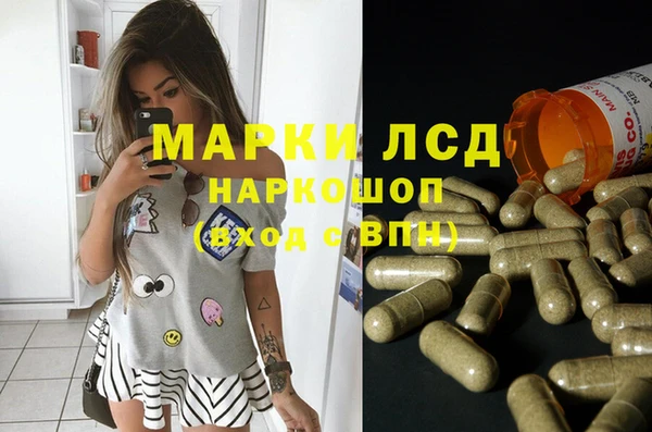 индика Гусь-Хрустальный