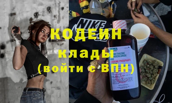 индика Гусь-Хрустальный