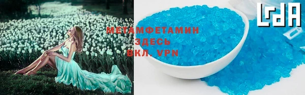 индика Гусь-Хрустальный