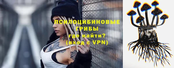 мдма Гусиноозёрск