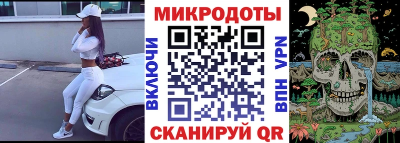 Псилоцибиновые грибы Cubensis  Красноярск 